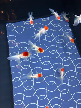 すみだ水族館に投稿された画像（2023/4/12）