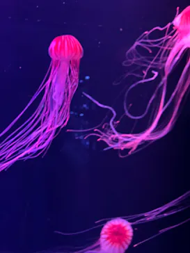 すみだ水族館に投稿された画像（2023/4/12）