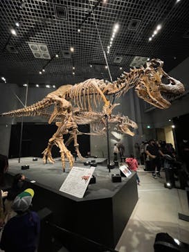 特別展「恐竜博2023」に投稿された画像（2023/4/13）