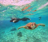 宮古島 ADVENTURE PiPi（ミヤコジマ アドベンチャー ピピ）に投稿された画像（2023/4/13）