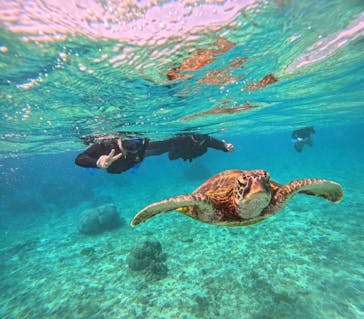 宮古島 ADVENTURE PiPi（ミヤコジマ アドベンチャー ピピ）に投稿された画像（2023/4/13）