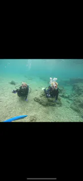 武藤潜水に投稿された画像（2023/4/13）