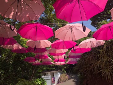 ニューヨークランプミュージアム＆フラワーガーデンに投稿された画像（2023/4/13）