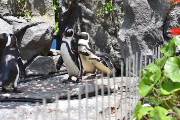 サンシャイン水族館に投稿された画像（2023/4/13）