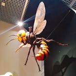 特別展「毒」に投稿された画像（2023/4/13）