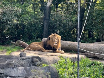 到津の森公園に投稿された画像（2023/4/13）