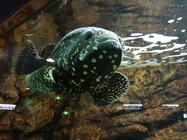 株式会社Gに投稿された画像（2023/4/13）