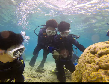 武藤潜水に投稿された画像（2023/4/13）