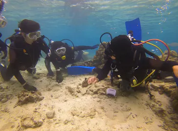 武藤潜水に投稿された画像（2023/4/13）