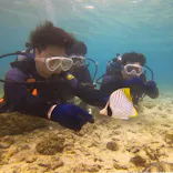 武藤潜水に投稿された画像（2023/4/13）