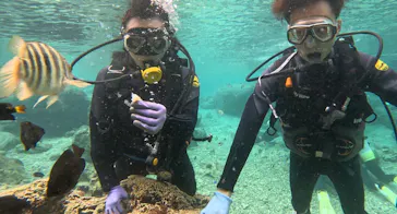 武藤潜水に投稿された画像（2023/4/13）