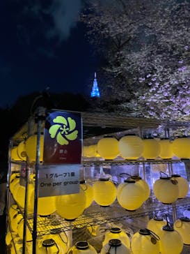 NAKED 桜の新宿御苑 2023に投稿された画像（2023/4/13）