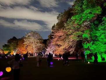 NAKED 桜の新宿御苑 2023に投稿された画像（2023/4/13）