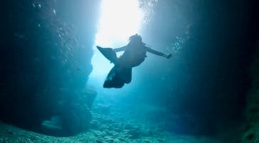 DIVING-SHOP SUNSに投稿された画像（2023/4/13）