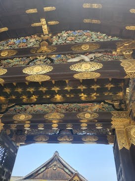 元離宮二条城に投稿された画像（2023/4/13）