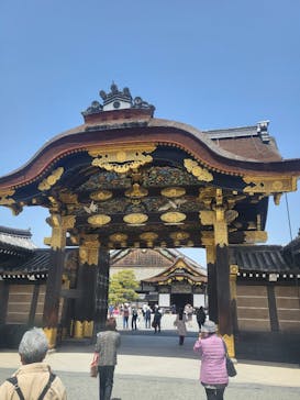 元離宮二条城に投稿された画像（2023/4/13）