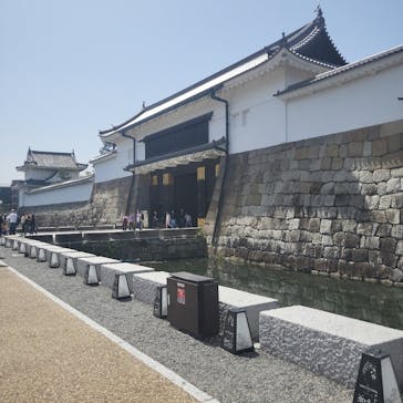 元離宮二条城に投稿された画像（2023/4/13）