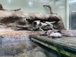 仙台うみの杜水族館に投稿された画像（2023/4/13）