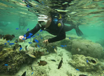 武藤潜水に投稿された画像（2023/4/13）