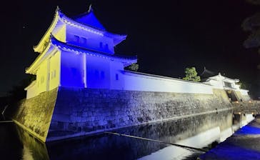 『NAKED FLOWERS 2023 桜 世界遺産・二条城』に投稿された画像（2023/4/13）