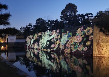 『NAKED FLOWERS 2023 桜 世界遺産・二条城』に投稿された画像（2023/4/13）