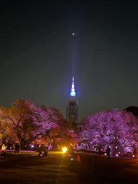 NAKED 桜の新宿御苑 2023に投稿された画像（2023/4/13）