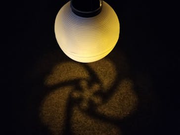 NAKED 桜の新宿御苑 2023に投稿された画像（2023/4/13）