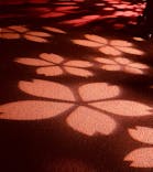 NAKED 桜の新宿御苑 2023に投稿された画像（2023/4/13）