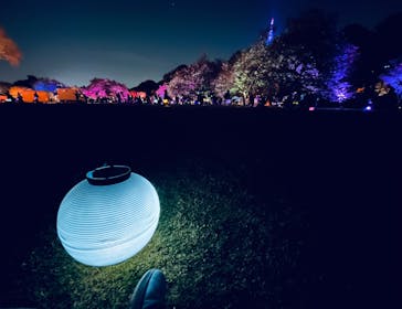 NAKED 桜の新宿御苑 2023に投稿された画像（2023/4/13）