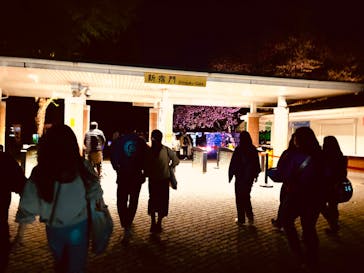 NAKED 桜の新宿御苑 2023に投稿された画像（2023/4/13）