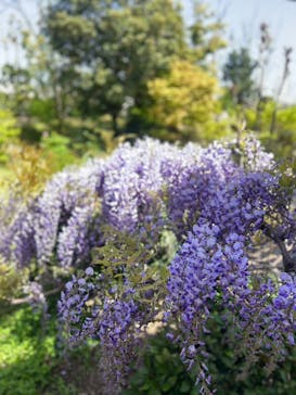 神戸みなと温泉 蓮に投稿された画像（2023/4/13）