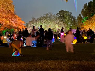 NAKED 桜の新宿御苑 2023に投稿された画像（2023/4/13）