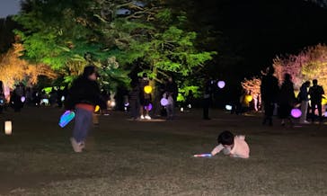 NAKED 桜の新宿御苑 2023に投稿された画像（2023/4/13）