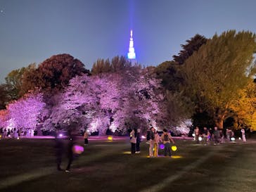 NAKED 桜の新宿御苑 2023に投稿された画像（2023/4/13）