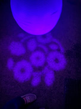 NAKED 桜の新宿御苑 2023に投稿された画像（2023/4/13）