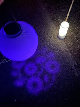 NAKED 桜の新宿御苑 2023に投稿された画像（2023/4/13）