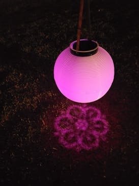 NAKED 桜の新宿御苑 2023に投稿された画像（2023/4/14）