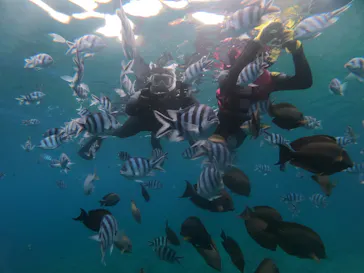 武藤潜水に投稿された画像（2023/4/14）