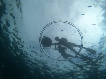 武藤潜水に投稿された画像（2023/4/14）