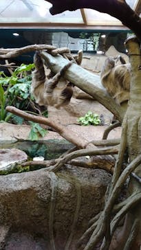 那須どうぶつ王国に投稿された画像（2023/4/14）