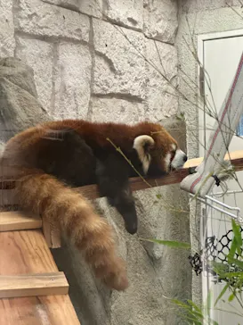 天王寺動物園に投稿された画像（2023/4/14）