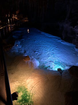 おきなわワールドに投稿された画像（2023/4/14）