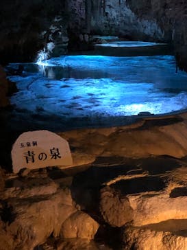 おきなわワールドに投稿された画像（2023/4/14）