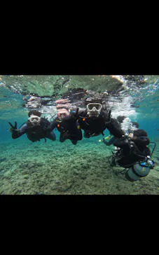 武藤潜水に投稿された画像（2023/4/14）