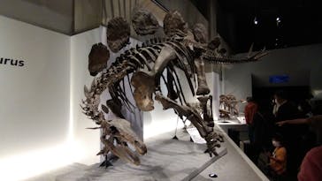 特別展「恐竜博2023」に投稿された画像（2023/4/14）