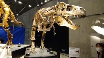 特別展「恐竜博2023」に投稿された画像（2023/4/14）