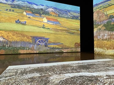 ゴッホ・アライブ神戸に投稿された画像（2023/4/14）