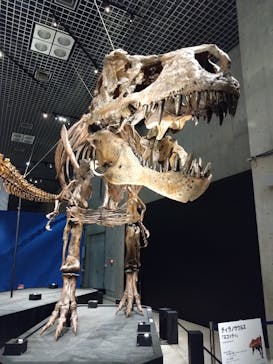 特別展「恐竜博2023」に投稿された画像（2023/4/14）