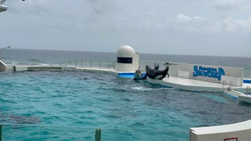 鴨川シーワールドに投稿された画像（2023/4/14）