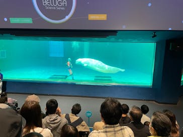 鴨川シーワールドに投稿された画像（2023/4/14）